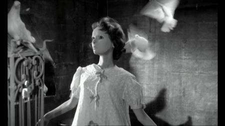Eyes Without a Face