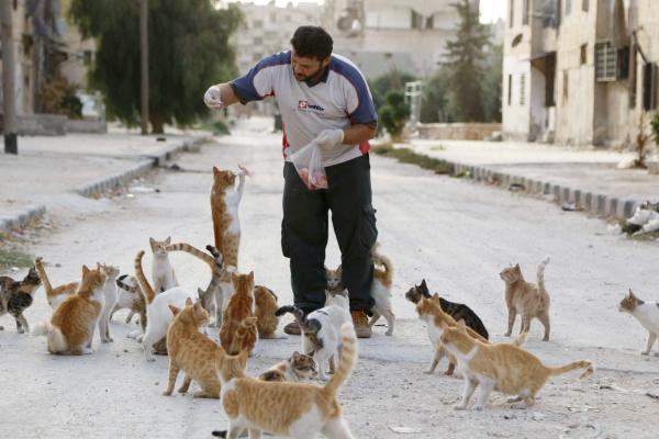 In the middle of the Syria bombings, this good man - known as the &ldquo;cats