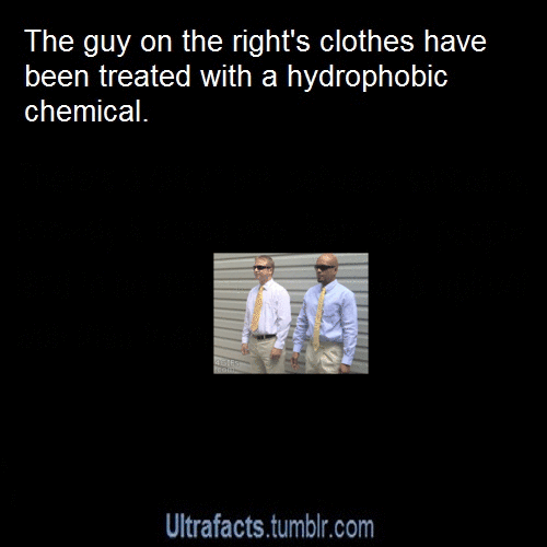 Source For More Posts Like This, Follow The Ultrafacts Blog!