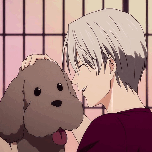 leorioism:  starlight8079:This is a Makkachin appreciation post. He hardly gets any