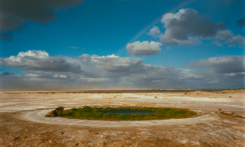 Until the End of the World (1991)dir. Wim Wenders