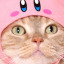 torptororo