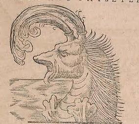 montereybayaquarium:  historieofbeafts:  It’s been a while since we checked in on how the Renaissance is doing with its ocean mysteries, so here is a marine biology update circa 1550. Seals come in two forms: Buff & Triangular Walruses are horrifying