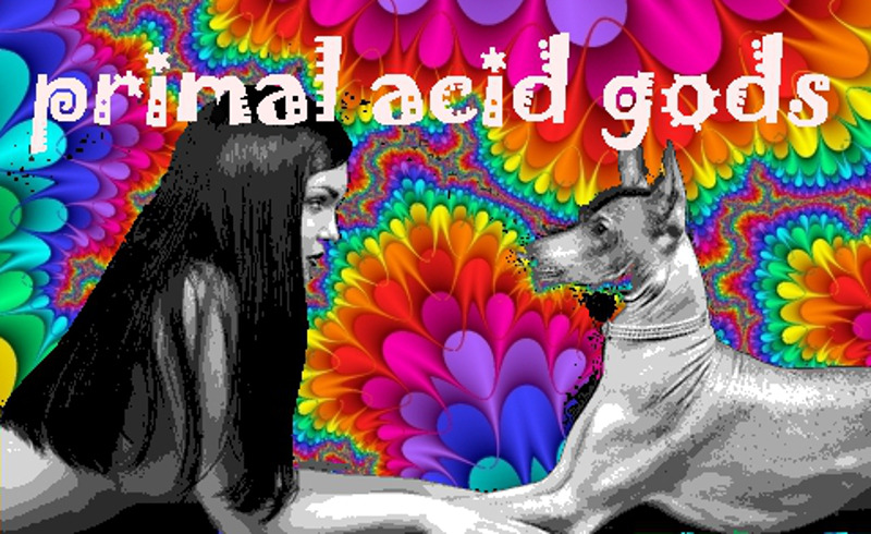 Psychedelic Sex On Tumblr