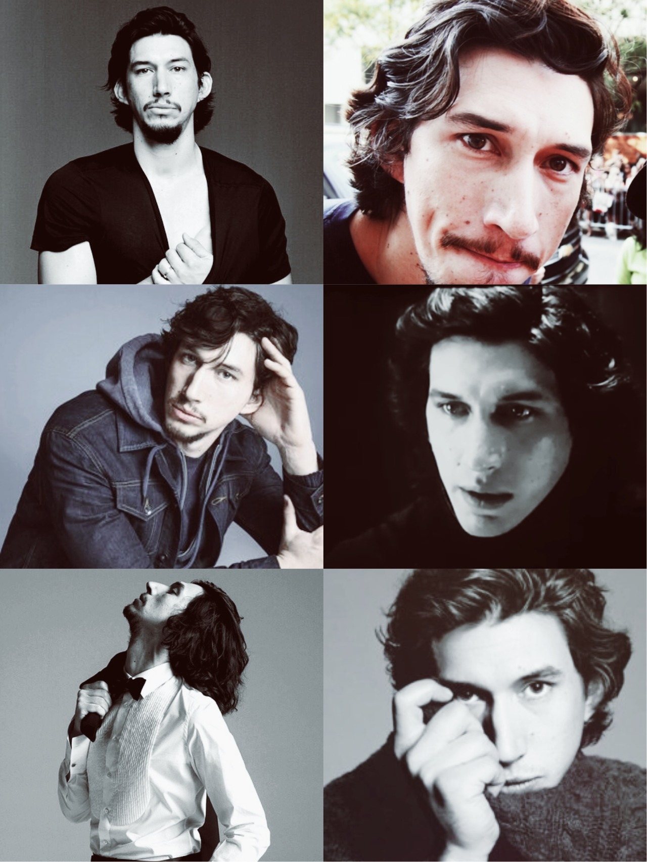 xturtletrashx:  turtlepated:  n-a-blue-box:  kyloxreytrashhh:  Adam Driver hair appreciation