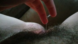 weranoutofsfw:  Finally got some down time. Got myself leaking and erect almost immediately.  1year and 4 months on testosterone.  He/him/his