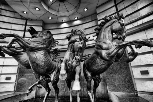 mkhardyphotography:The Four Bronze Horses of Helios http://dlvr.it/PGWt9F