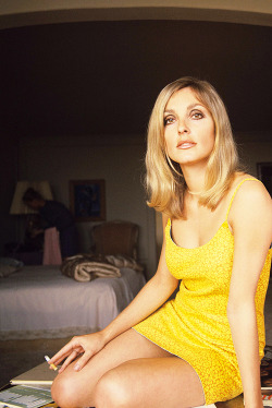 xxhorace:  Sharon Tate 