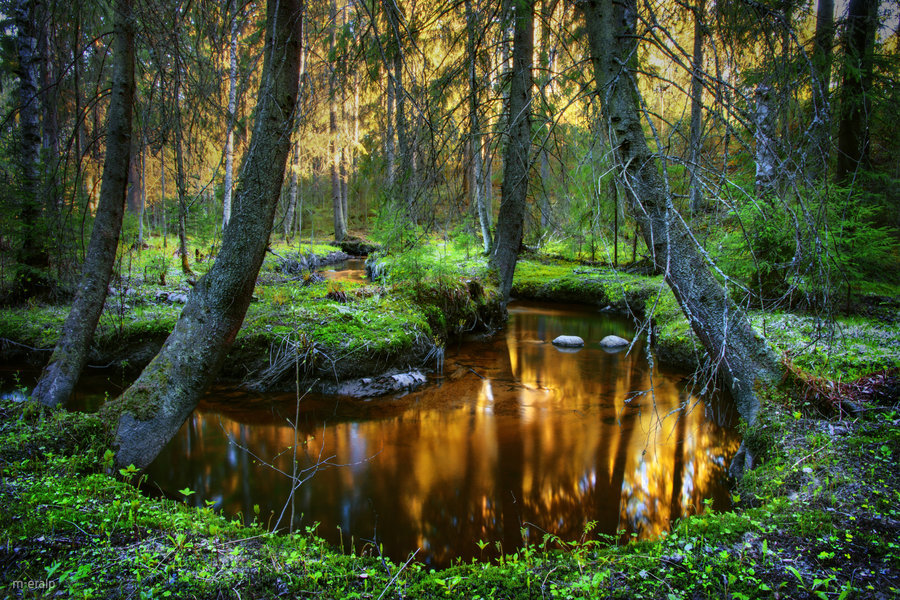 cuiledhwen:  Goldwater by m-eralp 
