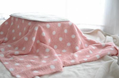 highlandvalley:うだまさんはTwitterを使っています: “100均の材料で猫用コタツ作ったよー t.co/IN4d8AwBTe”