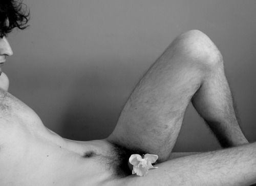 foto-maniac3:    narcissusby jalowy   