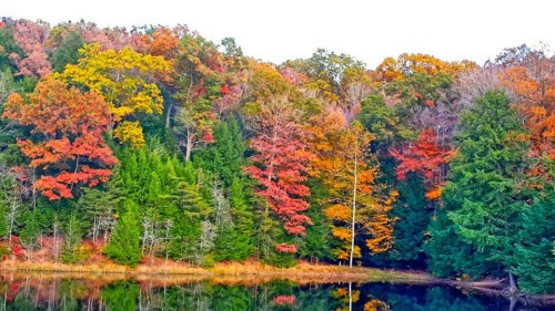 fuxit:  My aunt sent me these from her hike, I miss Ohio during the fall, it’s so beautiful😟🙊 