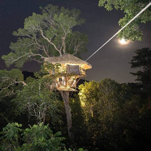 utwo: rain forest Ttreehouse © The Gibbon Experience 