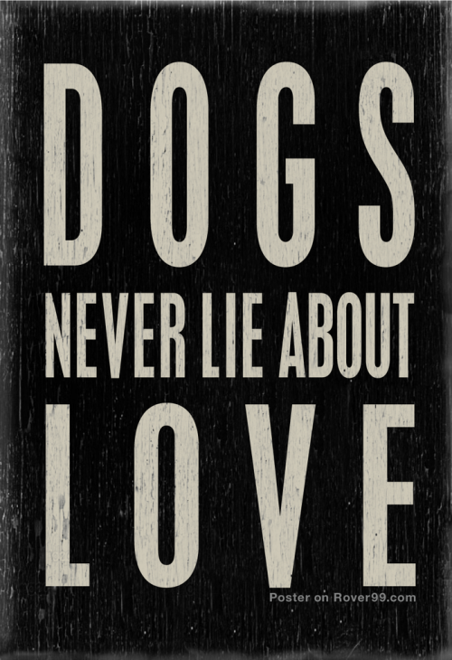 aplacetolovedogs:This dog quote poster is available here at Rover99.com