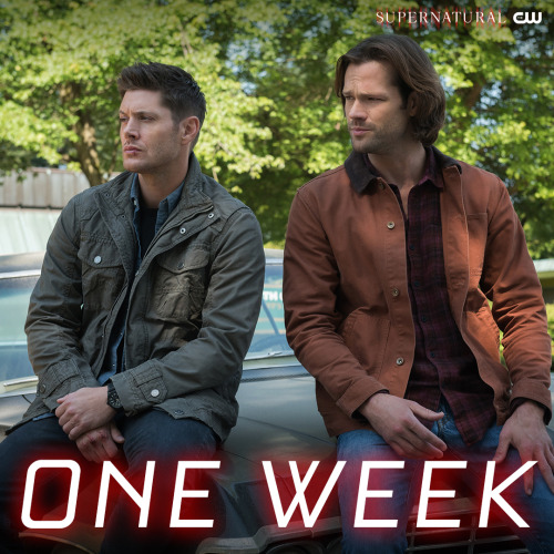 They’re back! Supernatural returns in ONE WEEK, next Thursday at 8/7c on The CW.