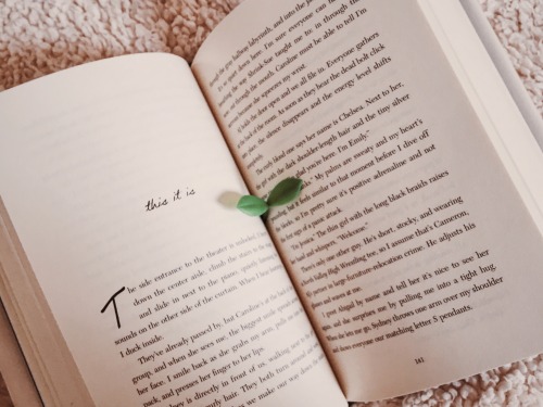 rand0mbookgirl:books and cupcakes august bpc day 7: words on a page