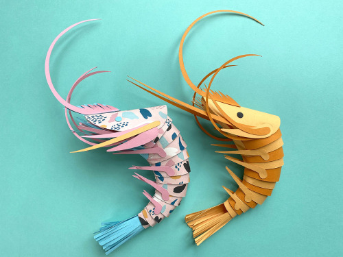 itscolossal:Make Your Own Paper Prawn Using This Pattern Designed by Artist Lisa Lloyd