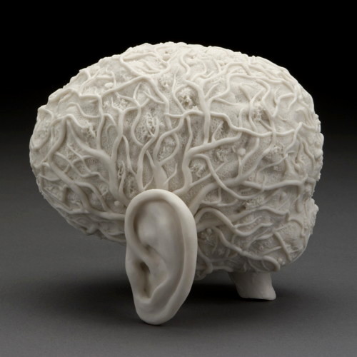 moshita:  Kate Macdowell 