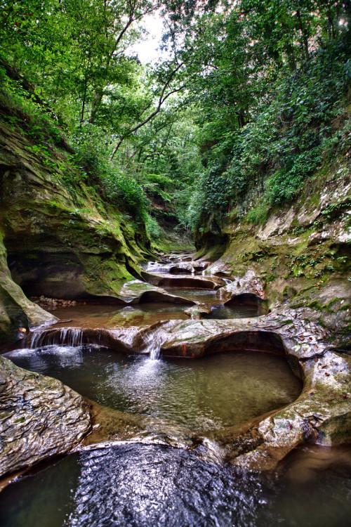 peaceful-moon:Fall Creek Gorge in Georgia by Tsunami Noai on 500px