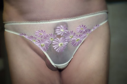 billyyboyloves:  Love these panties! Come