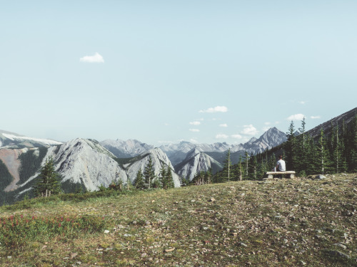 Sulphur Skyline Trail, Jasper National Park, Alberta, Canada.