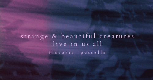 strange & beautiful~victoria pettella