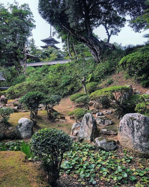 妙成寺庭園 [ 石川県羽咋市 ] Myojoji Temple Garden, Hakui, Ishikawa の写真・記事を更新しました。 ーー加賀藩主・前田家により江戸初期に建立された建造物10棟