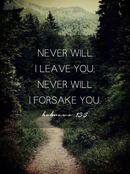 Be Content He\u2019ll Never Leave You Tumbler Bible Hebrews Trust God Scripture