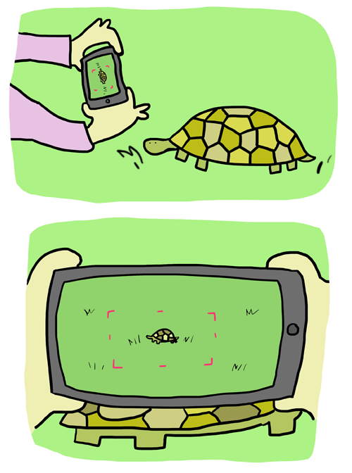 imoquest:  man this always happen when I see a groundhog 