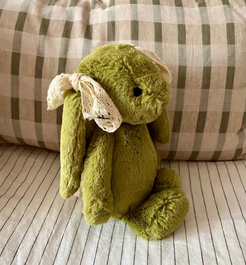 Please Welcome Matcha Bunny