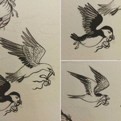 Seven of ten inked!! Here are some goodnight birds. #zine #otterdays #illustration #ink #inking