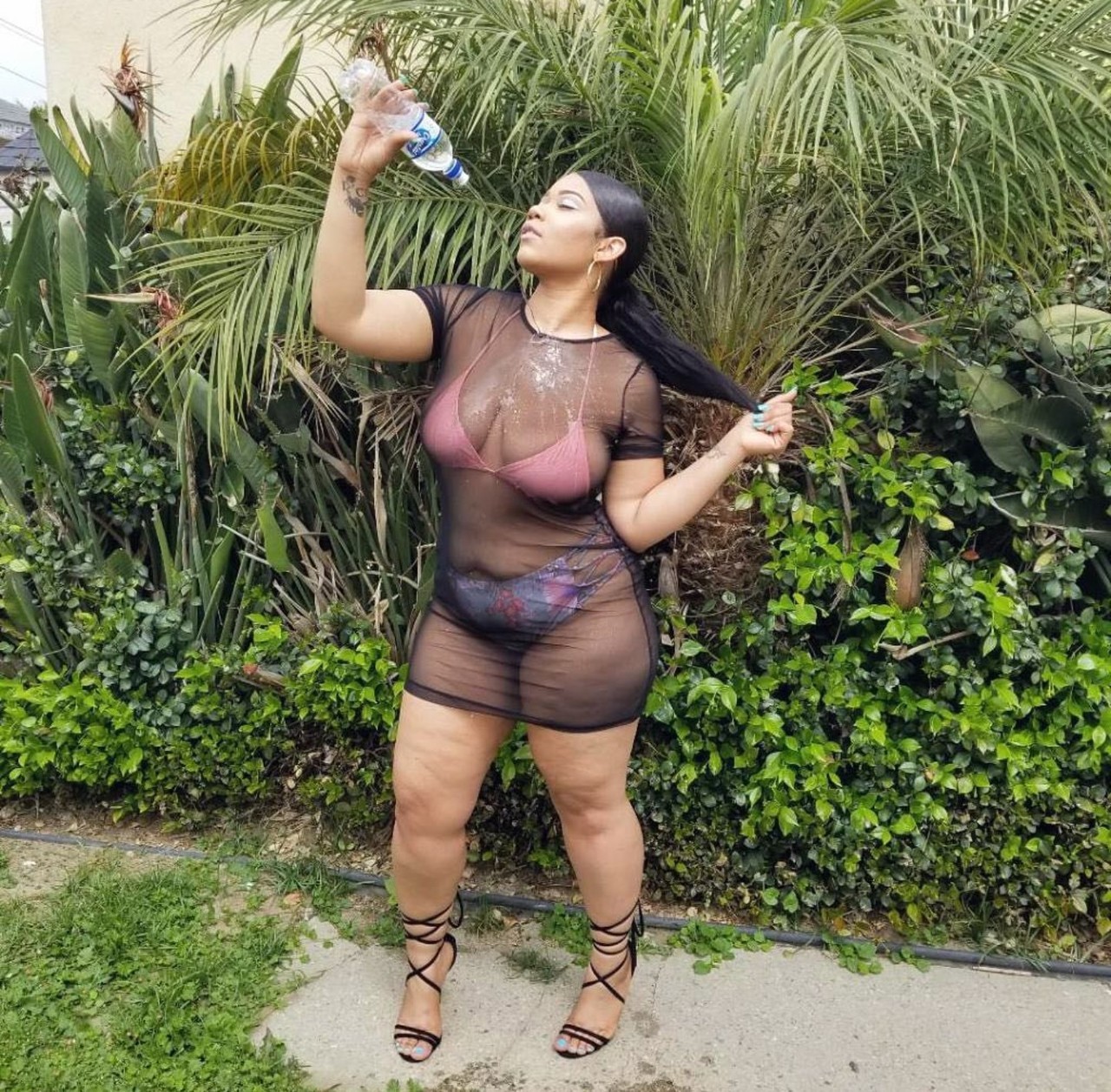 hemifever:  misjjackson