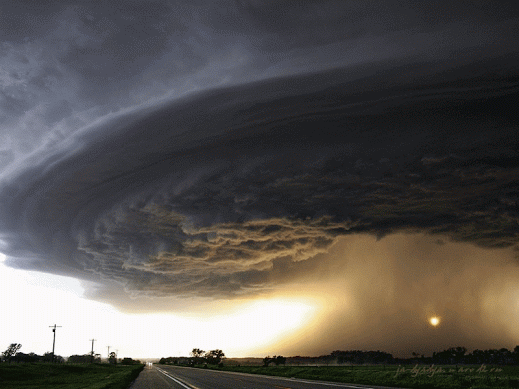 phattygirls:  TORNADO TWERK! 