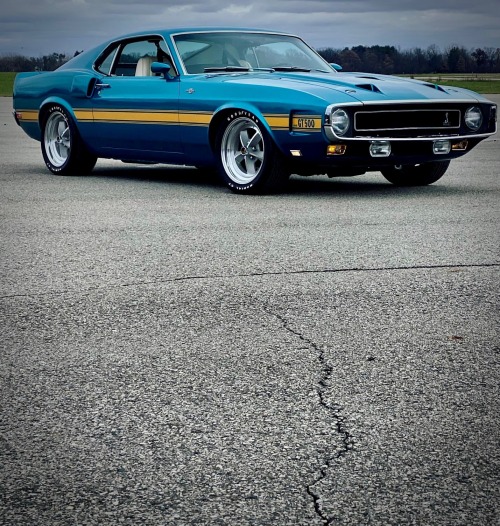 utwo: 1969 Shelby GT500’s © respecyourelders 