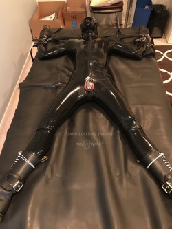 rubbermuff:  boyryan54: One of my favorite positions to be in.  I kept drifting off to sub lala land, only to be surprised by a slap to the balls or to have my air cut off. Regardless of my thrusting and begging, the device remained locked on. looks very