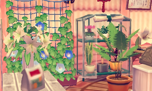 windcrossing:Flower shop ✿.*･｡ﾟ // 0002-5752-314