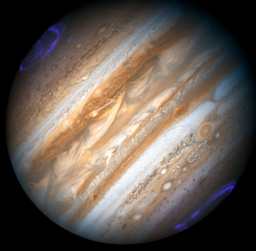 Just like on Earth, other planets in the solar system also have auroras. Jupiter&rsquo;s auroras are