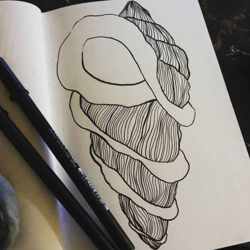Another Doodle Before Bed #sketch #ink #seashells #lineart #imtired #doodle #myart