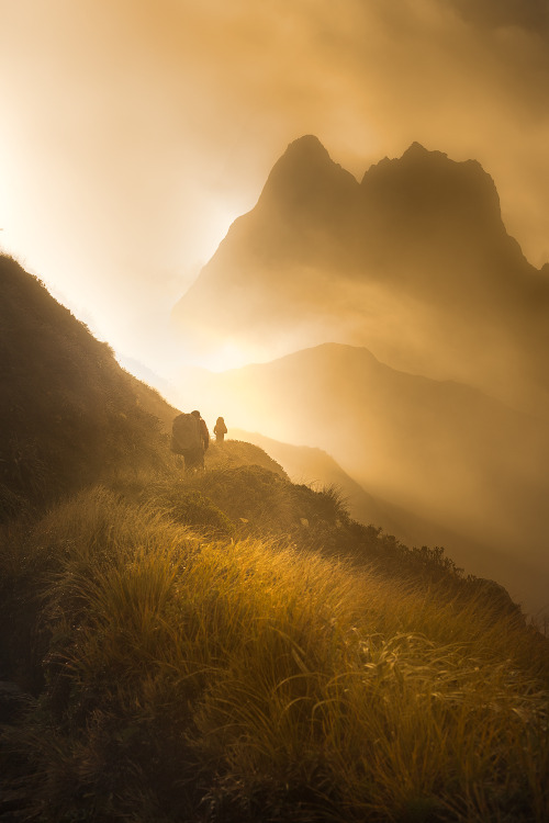 exploreelsewhere:The Essence of New Zealand - The Milford Track’s MacKinnon Pass at Dawn, photo by J