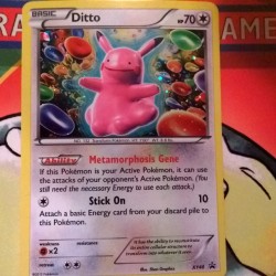 #Pokemon #promo#xy #primalclash #ditto #pikachu#nintendolife #pokemontcg #pink #card #Nintendo #gamefreak