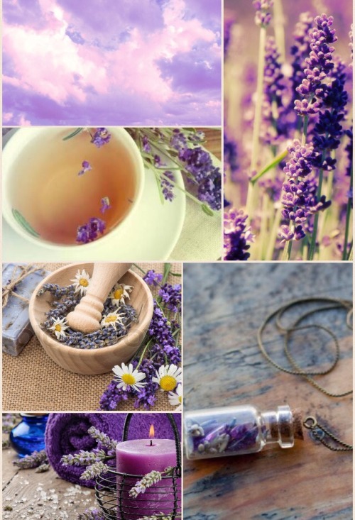 moon-witch-queen:  Lavender Witch Aesthetic ☮
