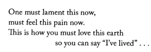 enthymesis:Nâzim Hikmet, from “On Living” tr. by Deniz PerinText ID: One must lament this now, must 