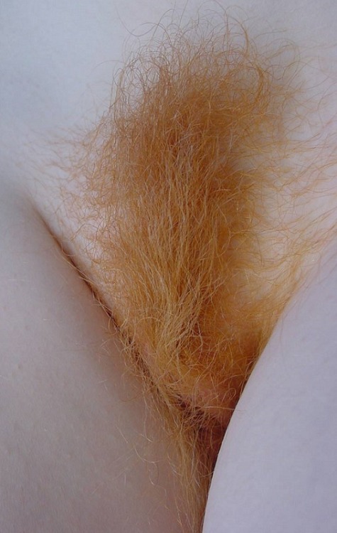 r2d21961:  hairy-teeners:  19yo pure redhead Summer selfies  GREAT very hairy red bush!!! 
