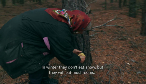 marxisforbros:The Babushkas Of ChernobylDir. Anne Bogart, Holly Morris