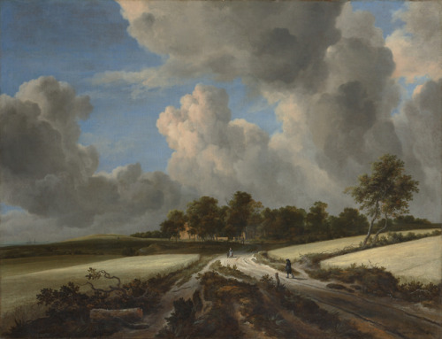 Jacob van Ruisdael (c. 1629–1682)Wheat Fieldsc. 1670Oil on canvas100 x 130.2 cmMetropolitan Mu