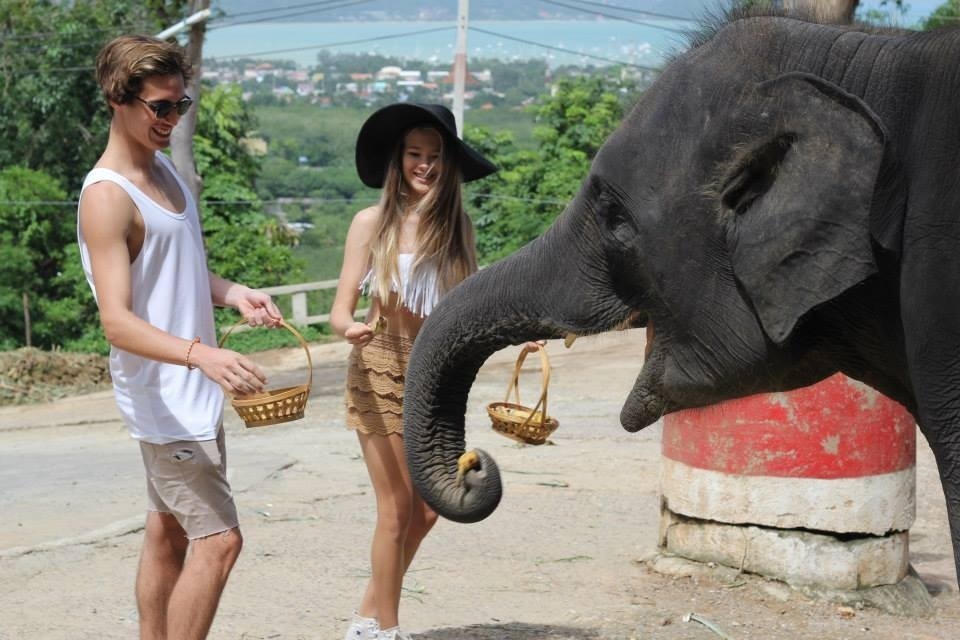 exotic-elephant-s:  hakunatropics:  more posts like this here ✌   tropical blog