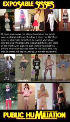 rachel65blog:  More sissies added, do the