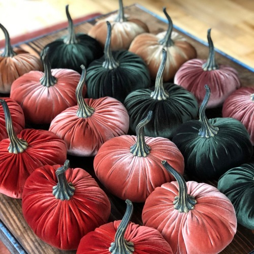 sosuperawesome: Velvet Pumpkins Michelle Rutta on Etsy See our #Etsy or #Pumpkin tags