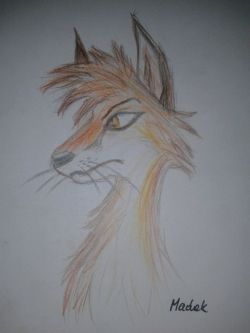 madaczek:  Dzięki Fox pomogłeś mi dzisiaj pozbierać myśli… Taki mały prezent od grubasa Przerysowane z http://villasukka.deviantart.com/art/fox-drawing-127684865 bo sam bym czegoś takiego nie wymyślił…  suodziak, nie ma za co