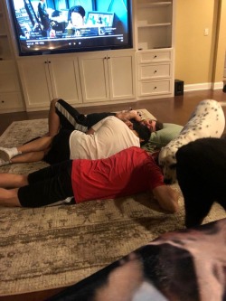 vanoss5ever:  The aftermath of a kino lick attack! Scotty looks like he’s dead, Evan looks like he’s just experienced the worst thing ever and panda looks like he wants round two. From Kelly’s twitter. Nilkski_